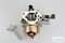 Vergaser passend Loncin G390 F, (F/D) mit Primer Anschluss