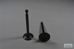 Ventilsatz Einlassventil Auslassventil passend Loncin...
