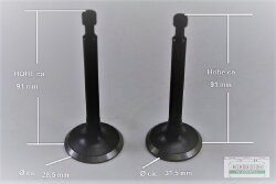 Ventilsatz Einlassventil Auslassventil passend Robin EY28