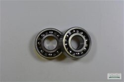 Kugellager Lager 6202Z mit Si-Ring